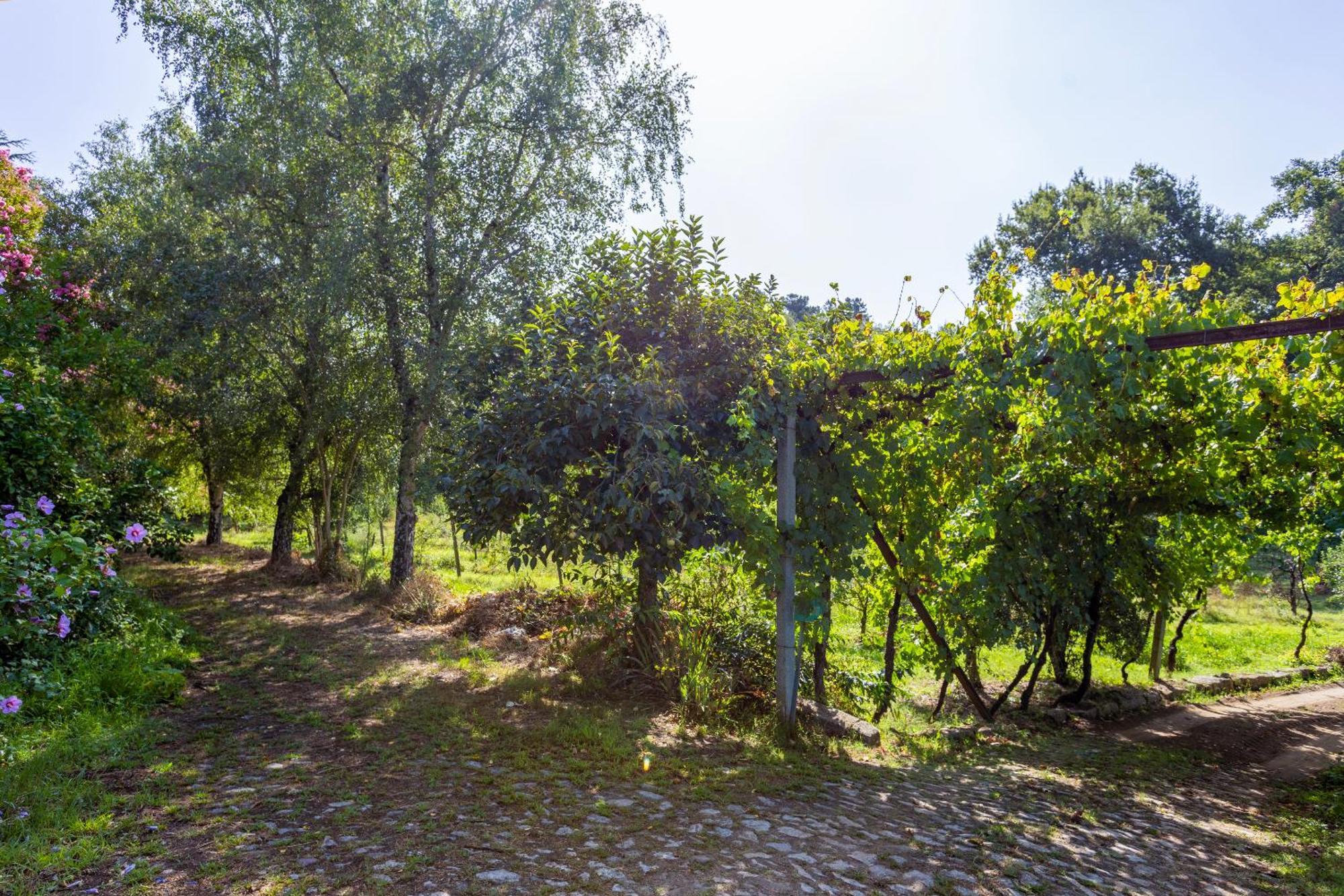 Quinta Da Comenda 圣佩罗多索 外观 照片